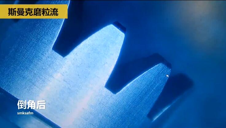 精密小齒輪拋光去毛刺，0.9-1.8秒一個！