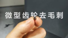  小微齒輪去毛刺清理，適合磨粒流加工！ 